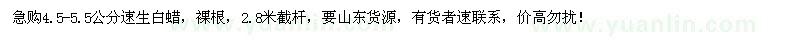 求購大量4.5-5.5公分速生白蠟