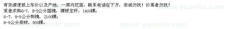 求購國槐,刺槐,欒樹