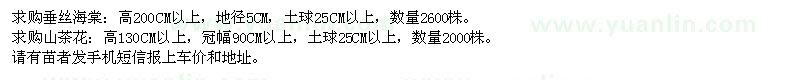 求購(gòu)垂絲海棠,山茶花
