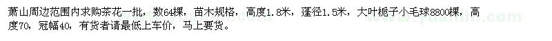 求購(gòu)茶花一批 數(shù)64棵