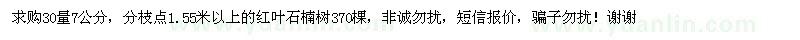 求購紅葉石楠樹