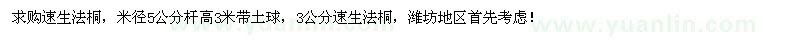 求購速生法桐
