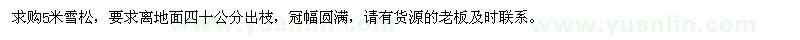 求購5米雪松