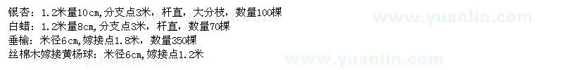 求購銀杏,白蠟,垂榆,絲棉木,嫁接黃楊球