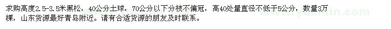 求購高度2.5-3.5米黑松
