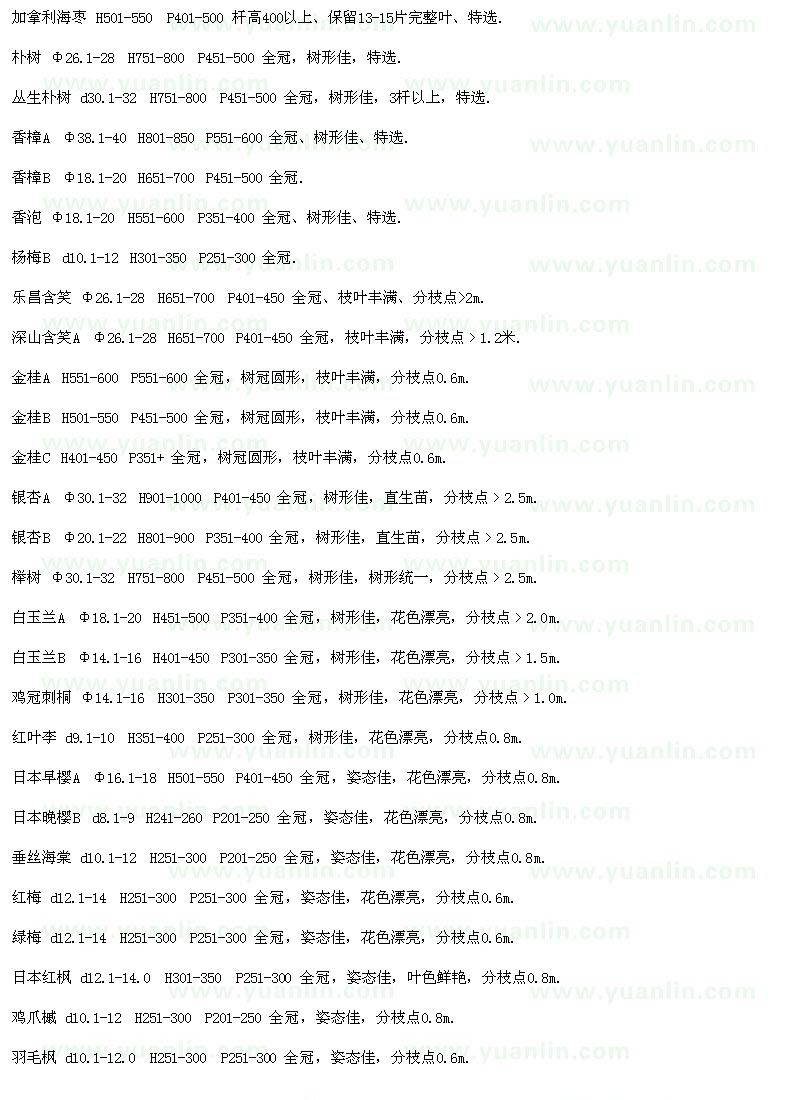 求購加拿利海棗、樸樹、香樟等苗木