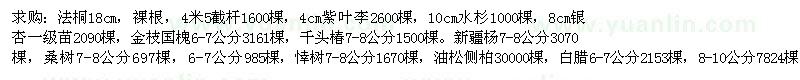 求購法桐、銀杏、紫葉李、新疆楊等