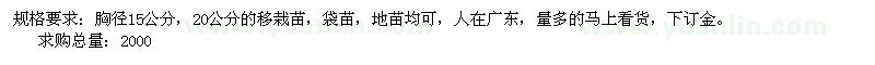 求購15公分，20公分的高山榕.高山榕，香樟，羊蹄甲