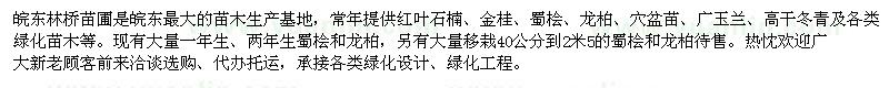 求購大量40公分至2米5的蜀檜龍柏