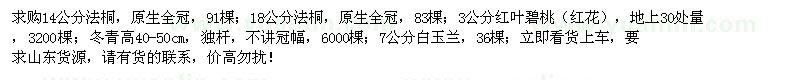 求購(gòu)法桐、紅葉碧桃、冬青、白玉蘭