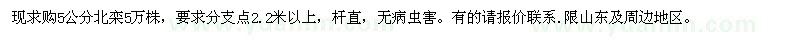 求購(gòu)5公分北欒樹(shù)5萬(wàn)株
