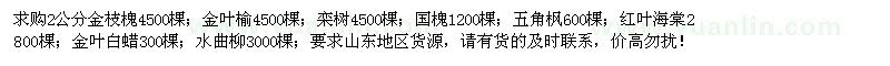 求購2公分金枝槐、金葉榆、欒樹等苗木