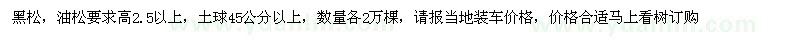 求購黑松油松