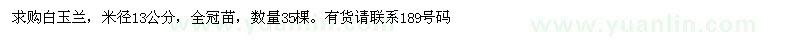 求購米徑13公分白玉蘭35棵