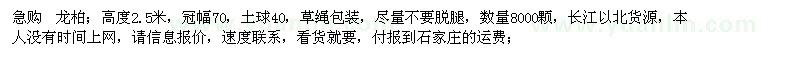 求購(gòu)龍柏；高度2.5米