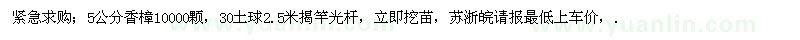 求購5公分香樟10000顆