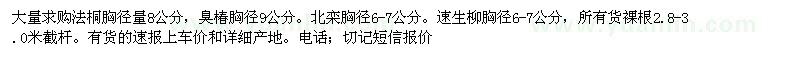 求購法桐，臭椿，北欒，速生柳