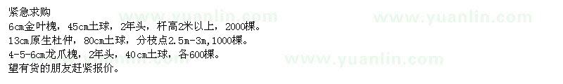 求購(gòu)金葉槐,金葉槐,龍爪槐