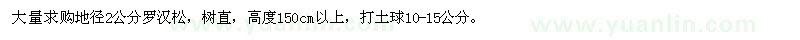 求購地徑2公分羅漢松