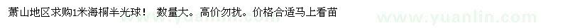 求購1米海桐半光球