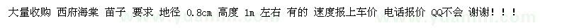 求購西府海棠苗子