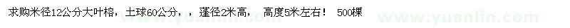 求購米徑12公分大葉榕