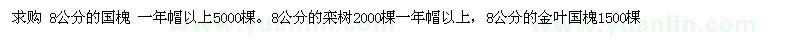 求購國槐 欒樹 金葉國槐