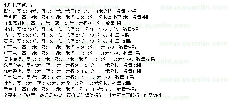求購櫻花、元寶楓、九重葛樹樁、樸樹等苗木