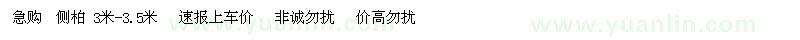 求購側(cè)柏3米-3,5米速報上車價