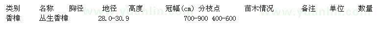 求購(gòu)香樟 