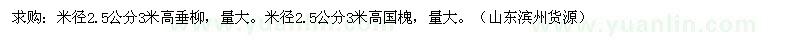 求購(gòu) 垂柳 國(guó)槐