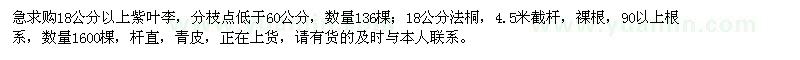 求購18公分以上紫葉李、法桐
