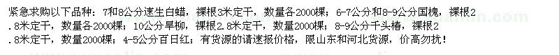 求購速生白蠟、國槐、旱柳、千頭椿、百日紅