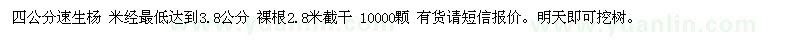 求購四公分速生楊