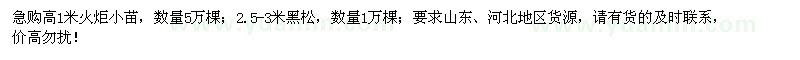 求購高1米火炬小苗、2.5-3米黑松