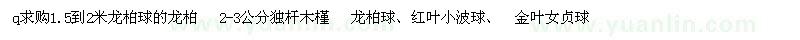 求購龍柏