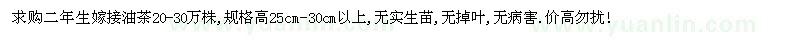 求購二年生嫁接油茶