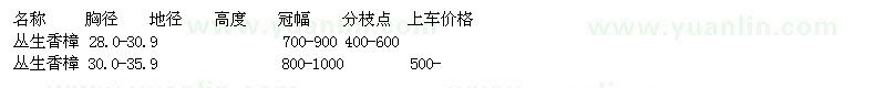 求購叢生香樟