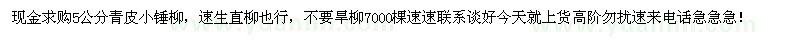求購(gòu)5公分青皮小錘柳，速生直柳也行