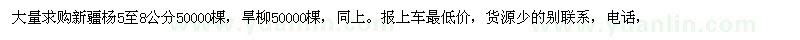 求購(gòu)新疆楊旱柳5至8公分