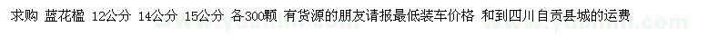 求購藍花楹 12公分 14公分 15公分