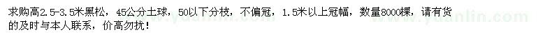 求購高2.5-3.5米黑松8000棵
