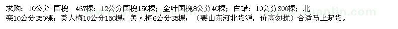 求購(gòu)國(guó)槐；金葉國(guó)槐；白蠟：；北欒