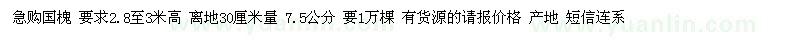 求購(gòu)國(guó)槐 要求2.8至3米高