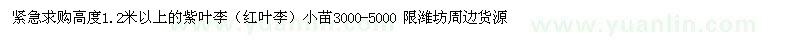 求購(gòu)高度1.2米以上的紫葉李（紅葉李）小苗