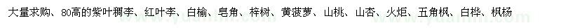 求購 紫葉稠李、紅葉李、白榆、皂角、梓樹