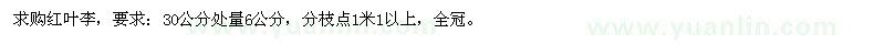 求購30公分處量6公分紅葉李