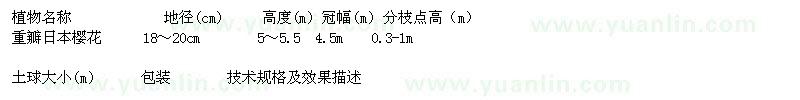 求購重瓣日本櫻花