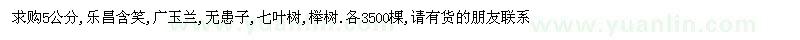 求購樂昌含笑、廣玉蘭、無患子、七葉樹 