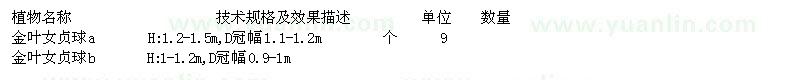求購金葉女貞球
